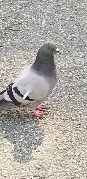20221012_121747.jpg