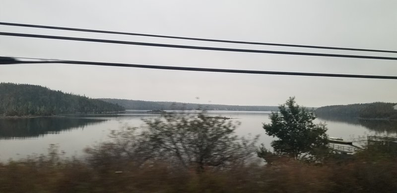 20221013_093537.jpg