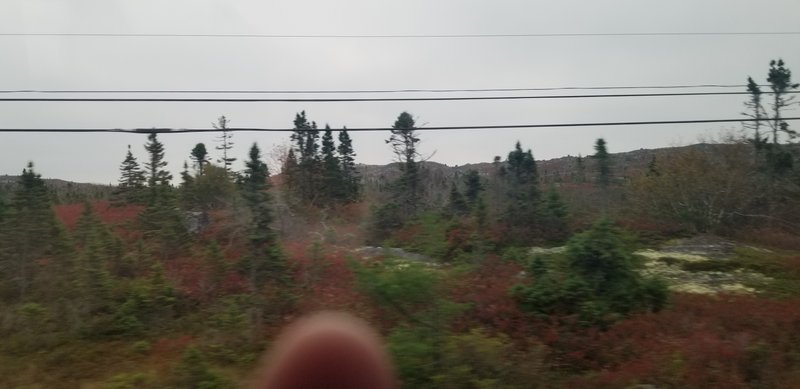 20221013_094809.jpg