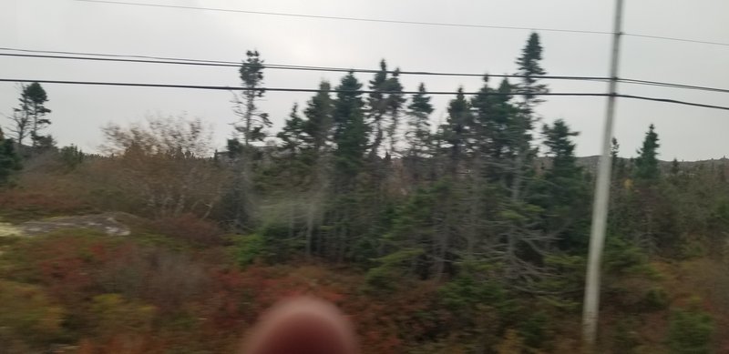 20221013_094810.jpg