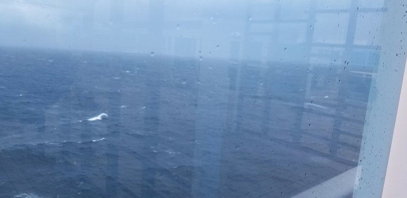 20221014_135957.jpg