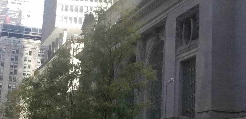 20221015_134252.jpg