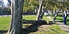 20221009_095939.jpg
