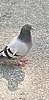 20221012_121747.jpg