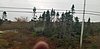 20221013_094810.jpg
