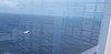 20221014_135957.jpg