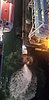 20221015_073605.jpg