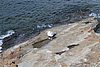 IMG_0415.JPG