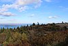 IMG_0438.JPG