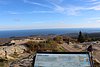 IMG_0445.JPG