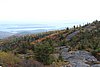 IMG_0447.JPG