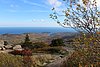 IMG_0449.JPG