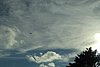 IMG_0465.JPG