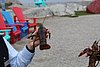 IMG_0492.JPG