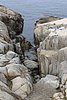 IMG_0513.JPG