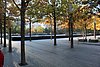 IMG_0567.JPG