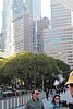 IMG_0593.JPG