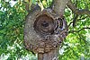 IMG_0615.JPG