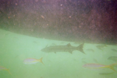 IMG000A.JPG
