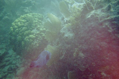 IMG000J.JPG