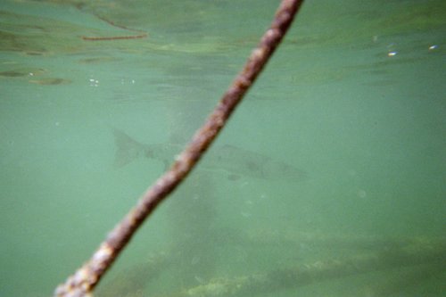 IMG001H.JPG