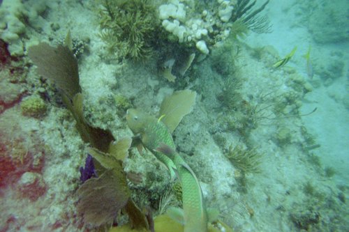 IMG001J.JPG