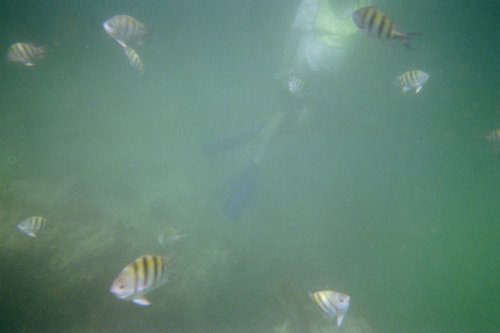IMG002A.JPG