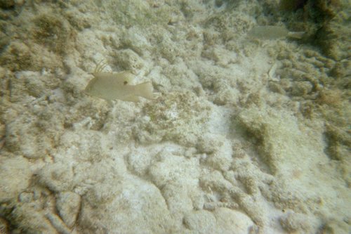 IMG002H.JPG