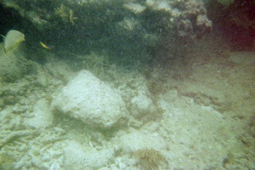 IMG002J.JPG
