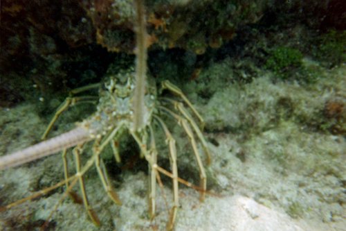 IMG002T.JPG