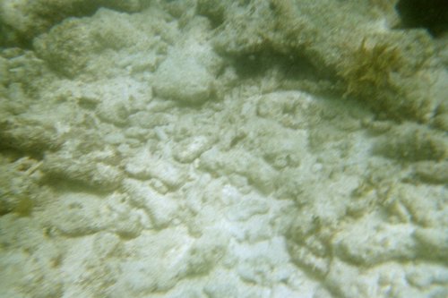 IMG003A.JPG