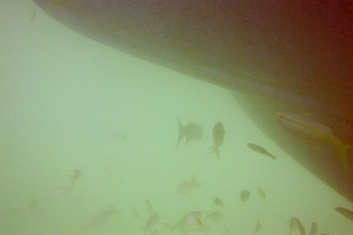 IMG004H.JPG