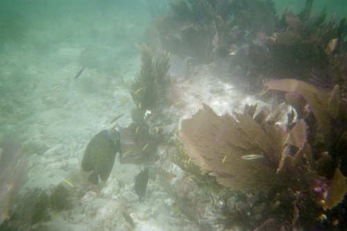 IMG005A.JPG