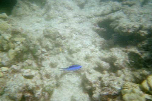 IMG005H.JPG