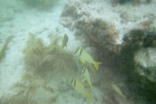 IMG005J.JPG