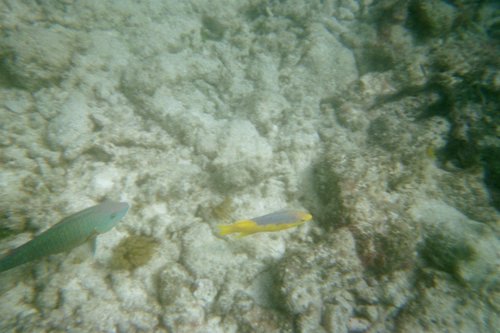 IMG006H.JPG