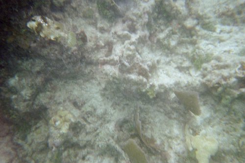 IMG006J.JPG