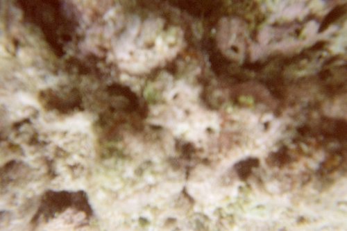 IMG007A.JPG