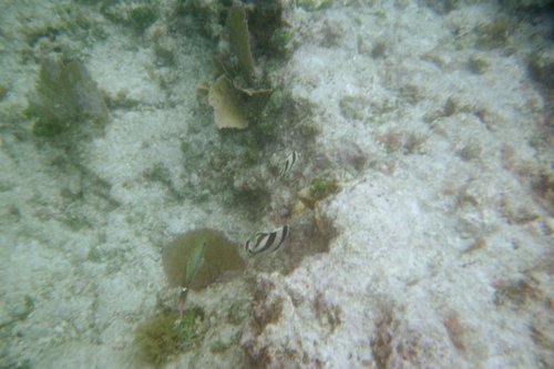 IMG007J.JPG