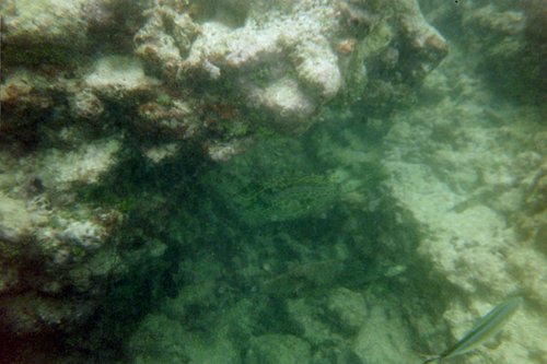 IMG007T.JPG