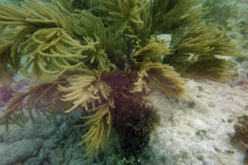 IMG008.JPG