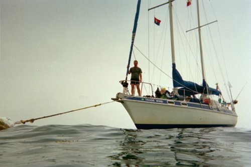 IMG008T.JPG