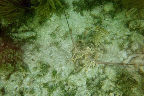 IMG009.JPG