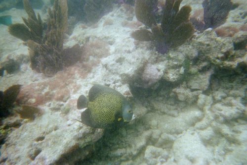 IMG009H.JPG