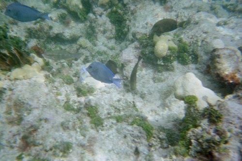 IMG009J.JPG