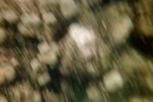 IMG009T.JPG