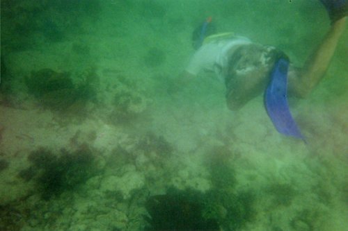 IMG010.JPG