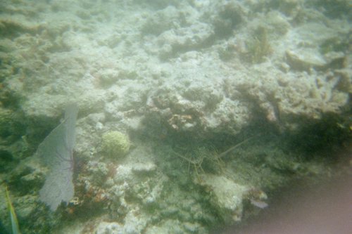 IMG010A.JPG