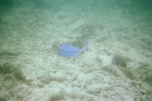 IMG010H.JPG