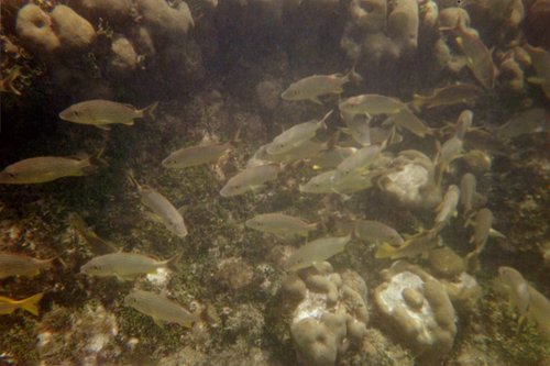IMG010T.JPG